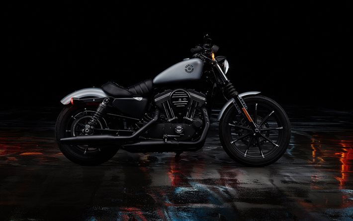 Harley Davidson Sportster Iron 883, 2020, vista laterale, esterno, moto nero, americano, moto, Harley Davidson