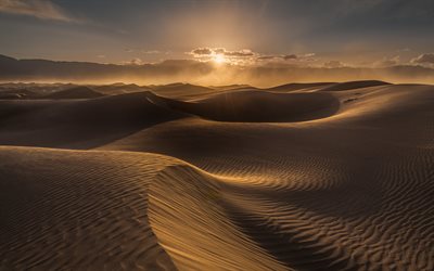 d&#233;sert, soir&#233;e, coucher du soleil, les dunes, le soleil, le sable, en Afrique