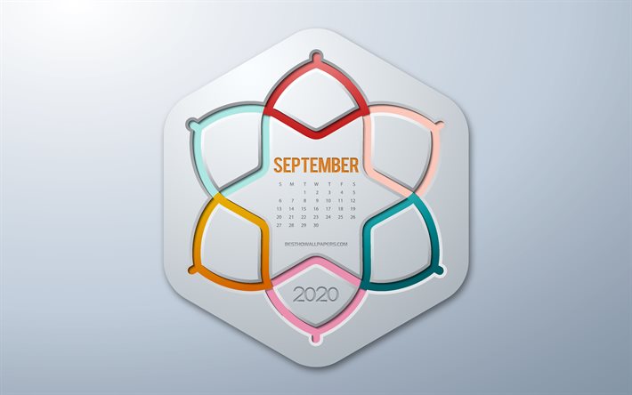 2020 settembre Calendario, infografica stile, settembre, 2020 autunno calendari, sfondo grigio, settembre 2020 Calendario, 2020 concetti