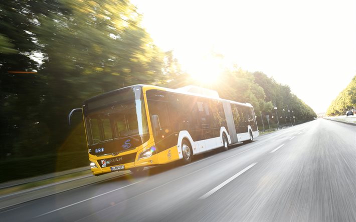 マライオンズ市内18G, 4k, 道路, 2020年までのバス, 旅客輸送, 男はバス, 2020年の男はライオンズ市内18G, 男, HDR