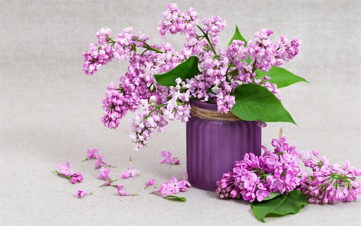 lilac, spring flowers, a vase with lilacs, purple flowers, beautiful bouquet of lilacs