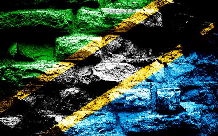 Afrika &#252;lkeleri Tanzanya bayrak, grunge tuğla doku, Bayrak, tuğla duvarda bayrak, Tanzanya, bayraklar