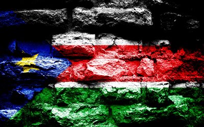 South Sudan flag, grunge brick texture, Flag of South Sudan, flag on brick wall, South Sudan, flags of Africa countries
