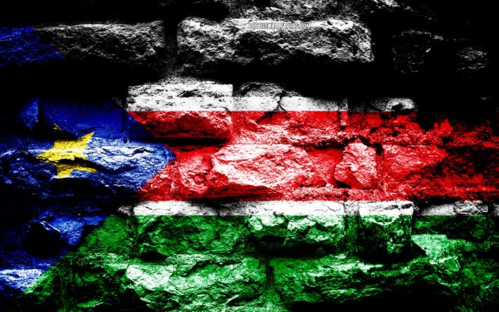 جنوب السودان العلم, الجرونج الطوب الملمس, علم جنوب السودان, علم على جدار من الطوب, جنوب السودان, أعلام الدول الأفريقية