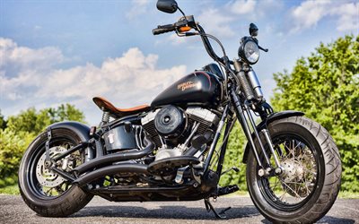 Harley-Davidson Softail, bobber, 2019 cyklar, inst&#228;llda t&#229;g, anpassade motorcyklar, 2019 Harley-Davidson Softail, HDR, Harley-Davidson