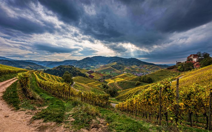 Germany, 4k, vineyard, autumn, evening, hills, beautiful nature, Europe