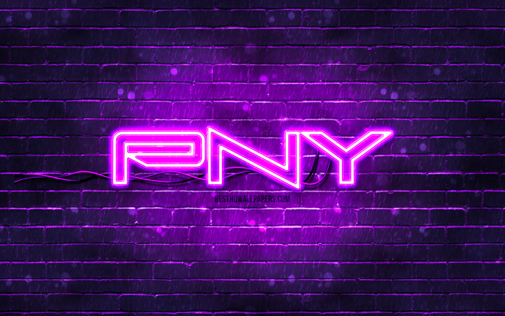 violettes pny-logo, 4k, violette ziegelwand, pny-logo, marken, pny-neon-logo, pny