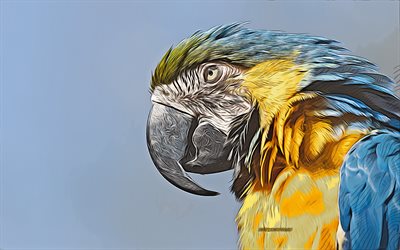 arara azul e amarela, 4k, arte vetorial, desenho de arara azul e amarela, arte criativa, arte da arara azul e amarela, desenho vetorial, pássaros abstratos, papagaios desenhos, arara