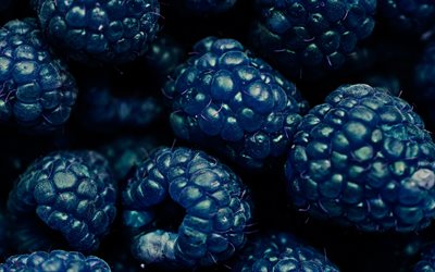 blackberry, macro, frutas frescas, bayas, dewberry, frutas