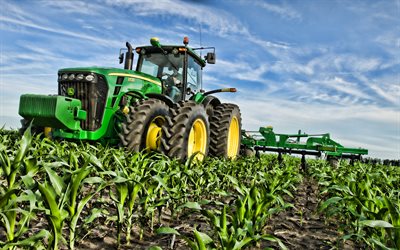John Deere 8530, ma&#237;z creciendo, 2019 tractores, 8 de la Serie de Tractores, maquinaria agr&#237;cola, la cosecha, el verde tractor, HDR, la agricultura, el tractor en el campo, John Deere