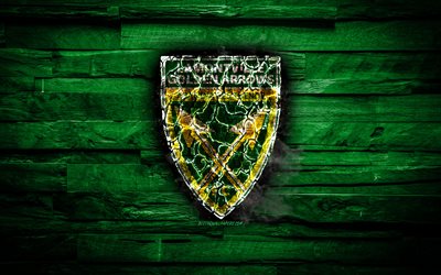 Lamontville Golden Arrows FC, burning logo, Premier Soccer League, green wooden background, south african football club, PSL, football, soccer, Lamontville Golden Arrows logo, Durban, South Africa