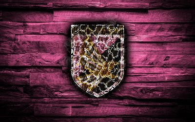 パレルモFC, 燃焼ロゴ, エクストリーム-ゾーンB, ピンク色の木製の背景, イタリアのサッカークラブ, 米国はパレルモ, グランジ, サッカー, パレルモのロゴ, パレルモ, イタリア