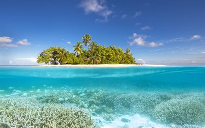 alifu-alifu-atoll, malediven, tropische insel, lagune, sommer, strand, palmen, tauchen sie unter und &#252;ber wasser, meer, korallen -, nord-ari-atoll