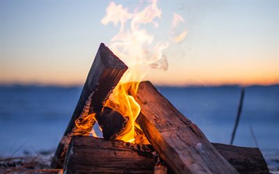 fire flames, bonfire, sunset, firewood, fire, close-up