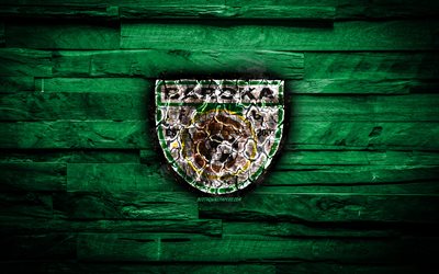 Baroka FC, burning logo, Premier Soccer League, green wooden background, south african football club, PSL, football, soccer, Baroka logo, Ga-Mphahlele, South Africa