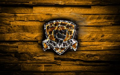 Black Leopards FC, burning logo, Premier Soccer League, yellow wooden background, south african football club, PSL, football, soccer, Black Leopards logo, Thohoyandou, South Africa
