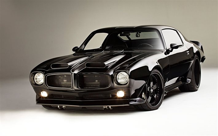 Pontiac Firebird, voitures r&#233;tro, 1973 voitures, muscle cars, studio, 1973 Pontiac Firebird, des voitures am&#233;ricaines, Pontiac