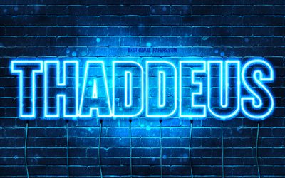 Thaddeus, 4k, isim Thaddeus adı ile, yatay metin, Thaddeus adı, mavi neon ışıkları, resimli duvar kağıtları