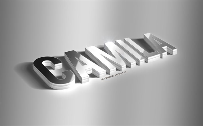 Camila, silver 3d art, gray background, wallpapers with names, Camila name, Camila greeting card, 3d art, picture with Camila name