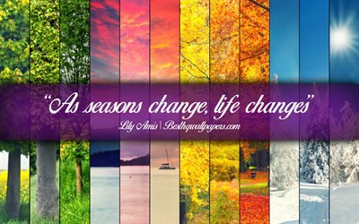 として季節の変わり目には生活の変化, Lily Amis, 書テキスト, 引用符約四季, Lily Amis引用符, 感, 4四季折々の背景, 引用符変更について