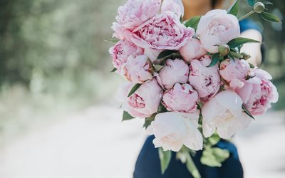 pink peonies, bouquet in her hands, beautiful pink flowers, peonies, woman with flowers