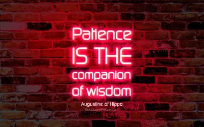 Patience is the companion of wisdom, 4k, purple brick wall, Augustine of Hippo Quotes, neon text, inspiration, Augustine of Hippo, quotes about wisdom
