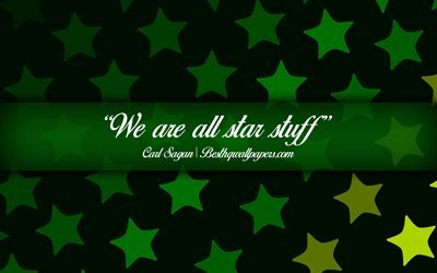 We are all star stuff, Carl Sagan, calligraphic text, quotes about stars, Carl Sagan quotes, inspiration, background with stars