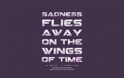 Sadness flies away on the wings of time, Jean de La Fontaine, grunge metal text, quotes about sadness, Jean de La Fontaine quotes, inspiration, violet fabric background