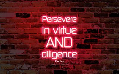 Persevere in virtue and diligence, 4k, purple brick wall, Plautus Quotes, neon text, inspiration, Plautus, quotes about persevere