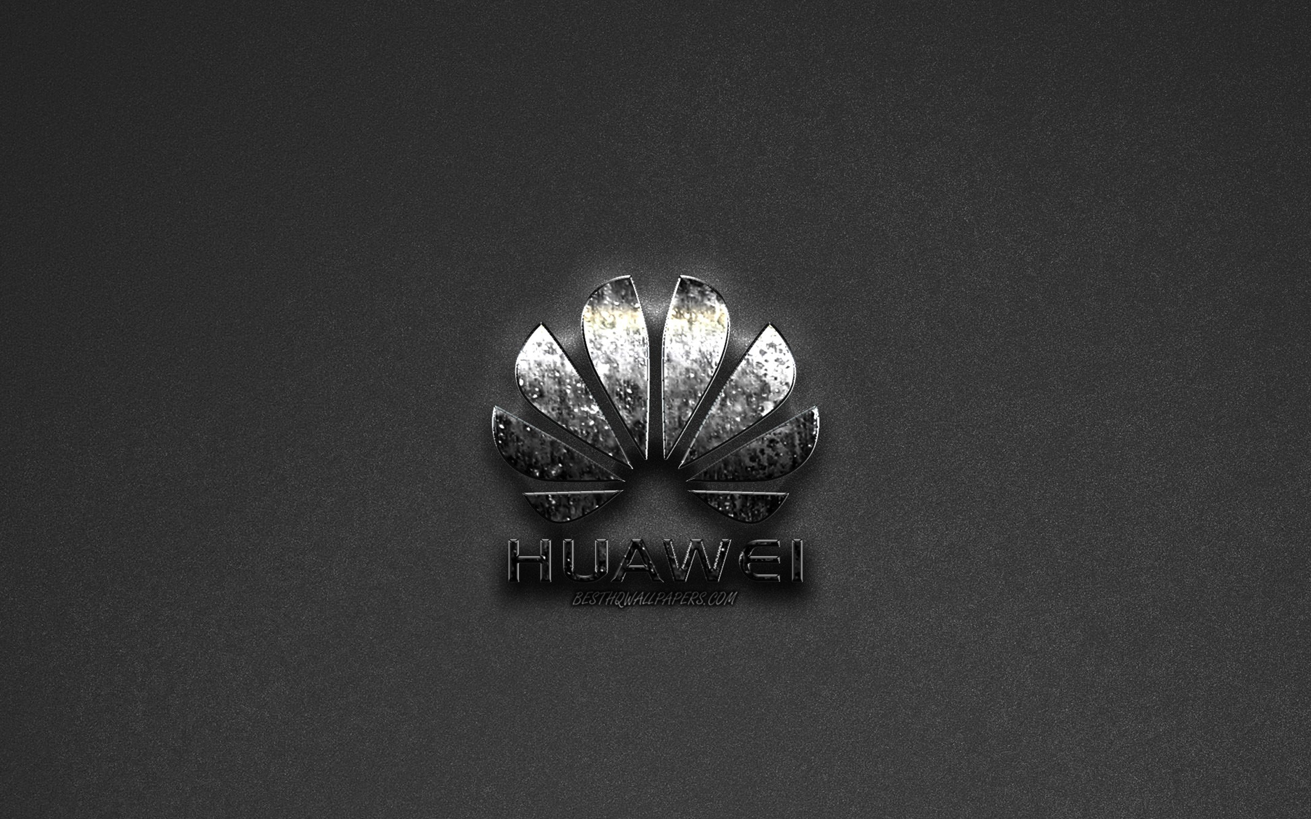 ダウンロード画像 ファーウェイロゴ グレー背景 金属のロゴ エンブレム Huawei 画面の解像度 2560x1600 壁紙デスクトップ上