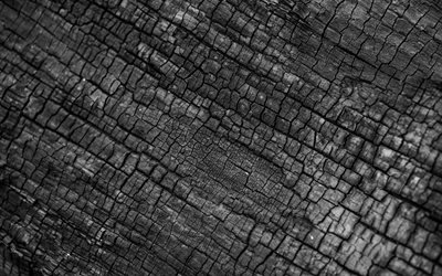 la madera quemada de textura, madera carbonizada, textura, negro con fondo de madera, carb&#243;n de le&#241;a de fondo, la madera quemada