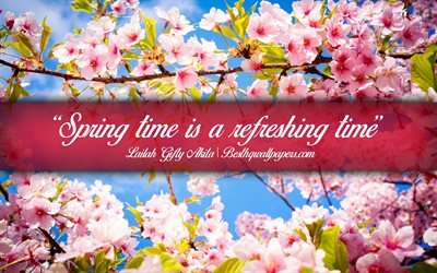 El tiempo de la primavera es una refrescante tiempo, Lailah Gifty Akita, caligr&#225;fico de texto, citas sobre la primavera, Lailah Gifty Akita cotizaciones, inspiraci&#243;n, primavera de fondo, citas sobre el tiempo