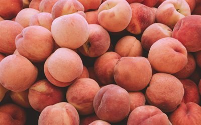 persikor, frukt, sommar, persika konsistens, berget av mogna persikor