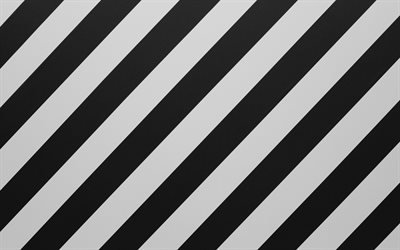 svart vita r&#228;nder bakgrund, grunge svart vit bakgrund, sten struktur, zebra konsistens, linjer konsistens