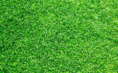 grama verde textura, close-up, fundos verdes, grama texturas, o verde da relva, macro, relva de cima, grama fundos