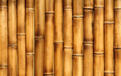 茶色の竹は質感, 4k, マクロ, 竹感, 竹杖, 竹, 茶褐色の木製の背景