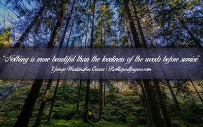 Nothing is more beautiful than the loveliness of the woods before sunrise, George Washington Carver, calligraphic text, quotes about wood, George Washington Carver quotes, inspiration, background with wood