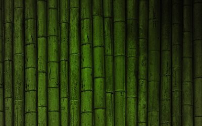 4k, 青竹の背景, マクロ, 緑の竹は質感, 竹感, 竹杖, 竹, 緑の木の背景