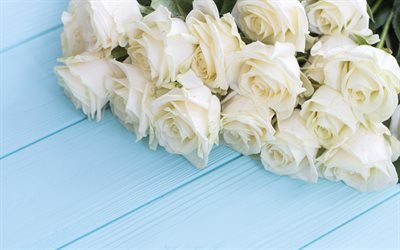 rose bianche, un grande mazzo di rose, blu sfondo di legno, di rose, di fiori bellissimi