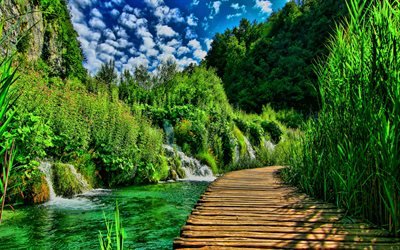 Plitvice Lakes, HDR, summer, beautiful nature, Croatia, Plitvice Lakes National Park, Croatian landmarks, Europe