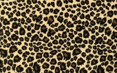 jaguar textur der haut, jaguar wolle textur, gelber hintergrund mit flecken, jaguar, wolle textur, jaguar hintergrund