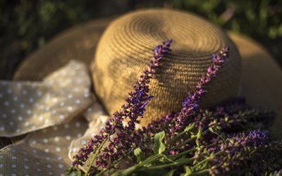 lavender, wicker hat, mood, evening, wildflowers, lavender bouquet