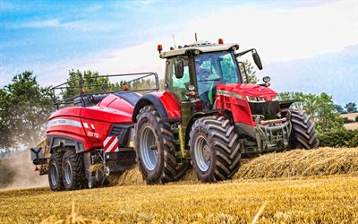 Massey Ferguson 8740 S, 4k, picking grass, HDR, 2021 tractors, agricultural machinery, harvest, red tractor, agriculture, Massey Ferguson