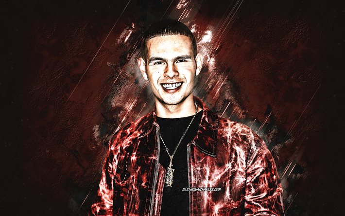 slowthai, britischer rapper, burgunderfarbener steinhintergrund, slowthai kunst, tyron kaymone frampton