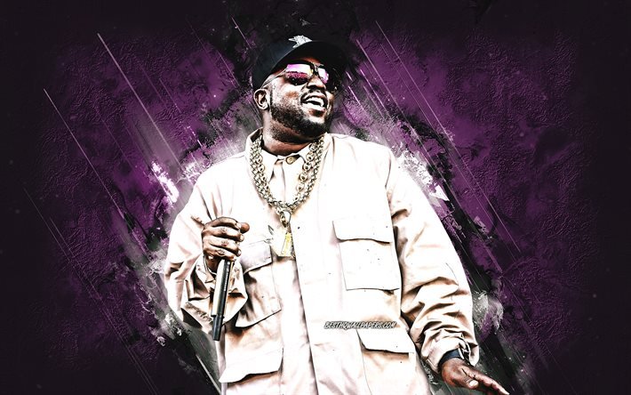 Big Boi, American rapper, Antwan Andre Patton, portrait, purple stone background, creative art