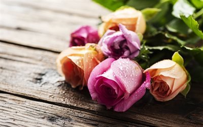 colorful roses, bokeh, colorful flowers, dew, roses, buds, colorful roses bouquet, beautiful flowers, colorful buds, backgrounds with flowers