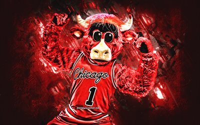 Benny Boğa maskot NBA, Chicago Bulls, kırmızı taş arka plan, Benny, ABD, basketbol, Chicago Bulls maskotu