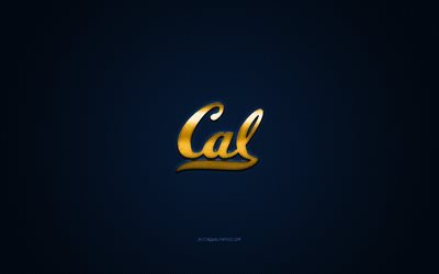 California Golden Bears logo, American football club, NCAA, golden logo, blue carbon fiber background, American football, Berkeley, USA, California Golden Bears, University of California