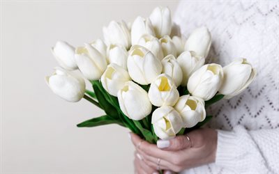 white tulips, bride, wedding, bridal bouquet, tulips in the hands of the bride, white wedding dress, tulips