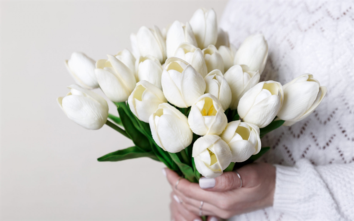 wei&#223;e tulpen, braut, hochzeit, brautstrau&#223;, tulpen in den h&#228;nden der braut, wei&#223;es hochzeitskleid, tulpen